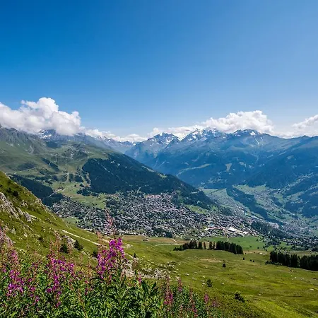 Oiseau Bleu 05 Verbier